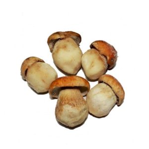 Borowik cały 4x2500g Ewita