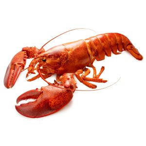 Homar cały 400g/opak. 10opak. Owoce morza