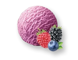 Lody kuweta owoce leśne 5000ml Augusto