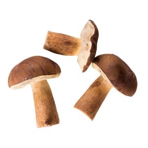 Podgrzybek cały 4x2500g Ewita