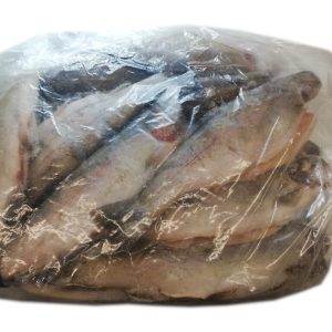 Pstrąg patroszony Z/GŁ 250-300 IQF LUZ 5000g Ryby Mrożone