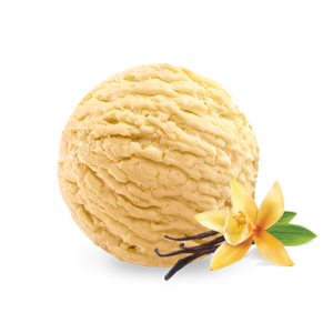 Lody w kuwecie o smaku waniliowym 5000ml Zielona Budka