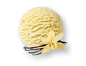 Lody kuweta waniliowa 5000ml Augusto