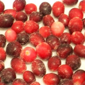 Żurawina 2500g 4szt. Oerlemans Foods