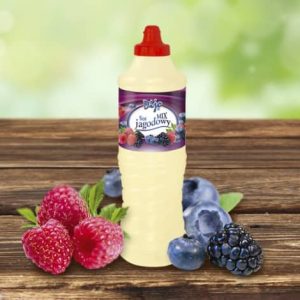 Sos jagodowy 6x1000g Dijo